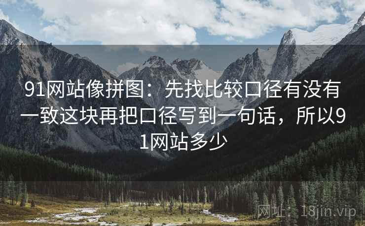 91网站像拼图：先找比较口径有没有一致这块再把口径写到一句话，所以91网站多少