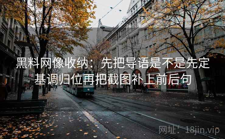 黑料网像收纳：先把导语是不是先定基调归位再把截图补上前后句